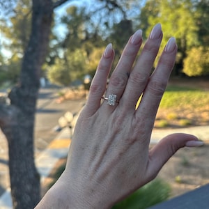 Benito added a photo of their purchase