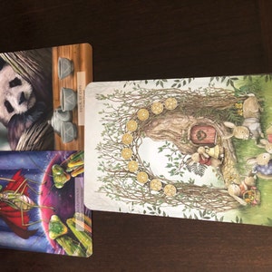 Tarot added a photo of their purchase