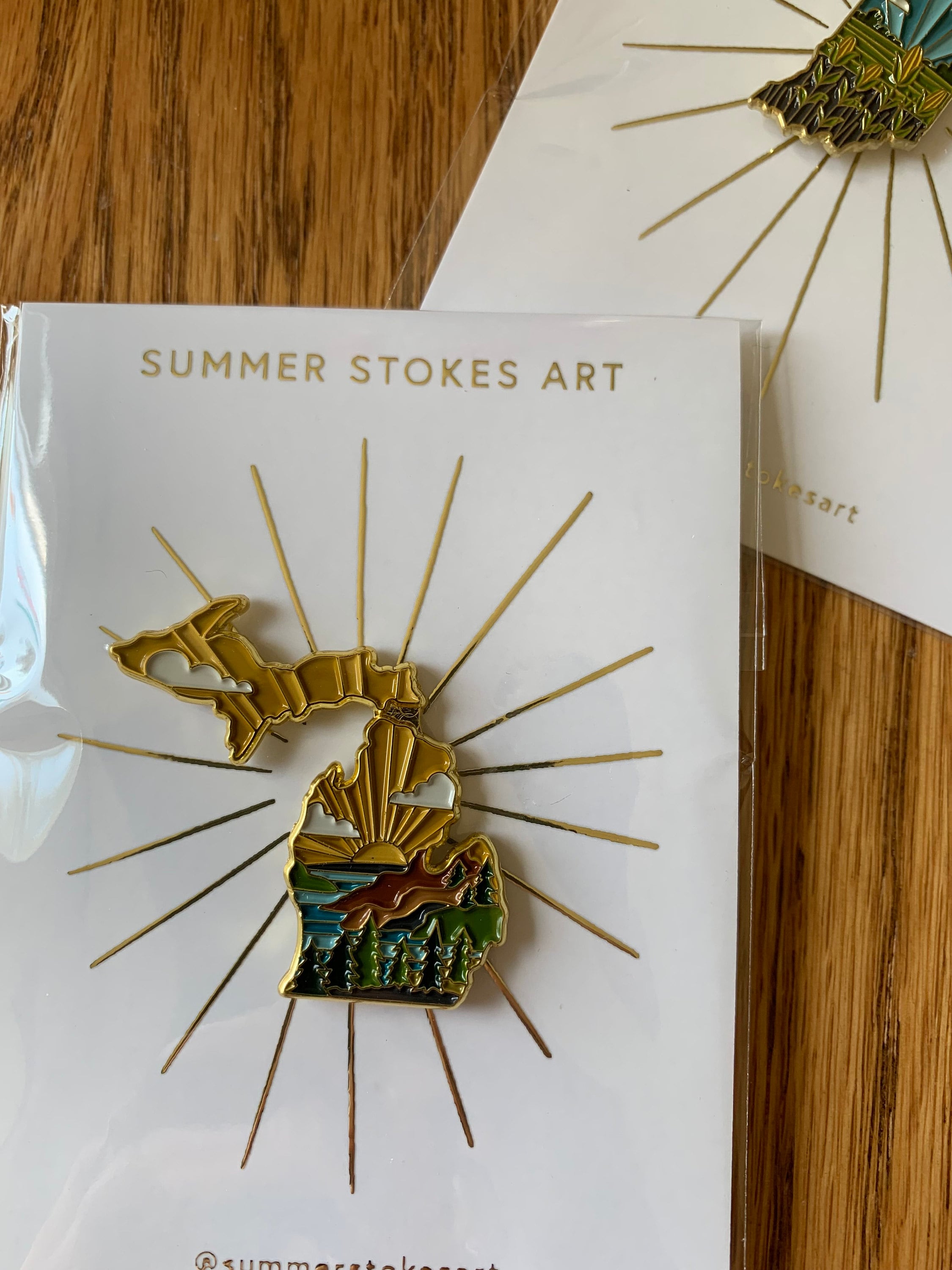 Michigan Enamel Pin | Gold Soft Enamel Pin | Illustrated United State Pin | Butterfly Clasp | 1.25&quot;