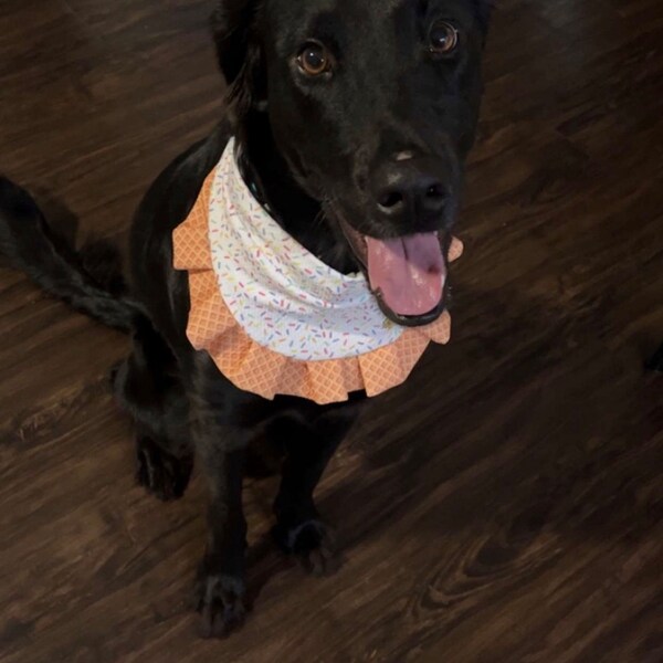Puppachino Sprinkles | Snap Closure Dog Bandana, Birthday Dog Bandana ...