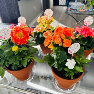 Jeanette added a photo of their purchase
