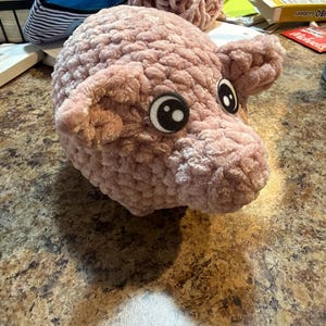 Kelly adicionaram uma foto da sua compra