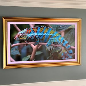 James added a photo of their purchase