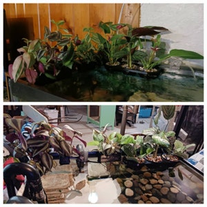 Deena added a photo of their purchase