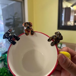 Madison added a photo of their purchase