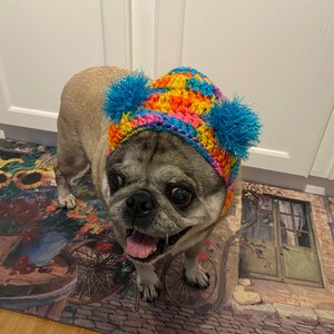 Katie added a photo of their purchase