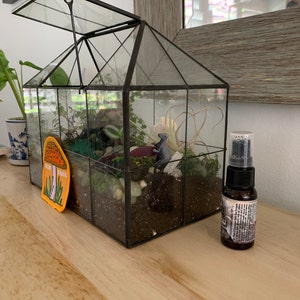 Lisa added a photo of their purchase