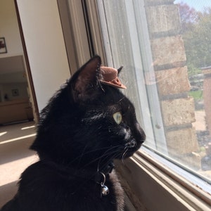 ed added a photo of their purchase