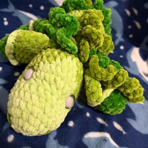 Annie added a photo of their purchase