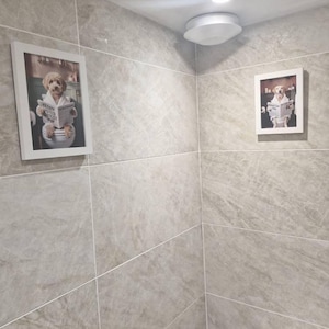 Falak added a photo of their purchase