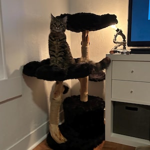 Jasmine added a photo of their purchase