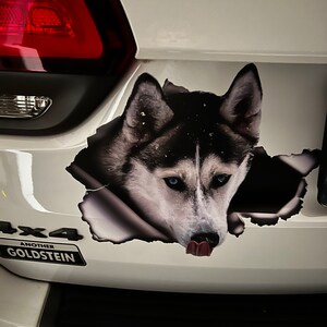 Allison added a photo of their purchase