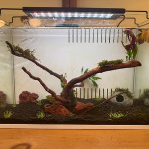 Lesley added a photo of their purchase
