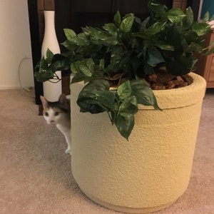 litter planter