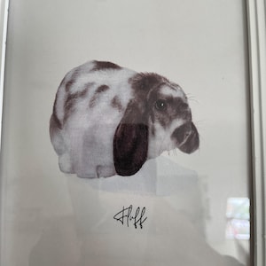 Sophie added a photo of their purchase