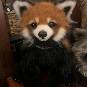 Lori added a photo of their purchase