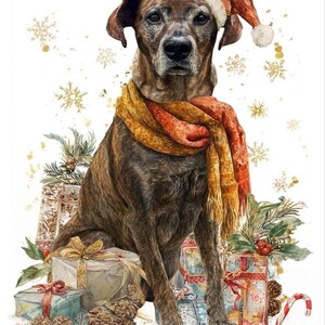 Lynn added a photo of their purchase