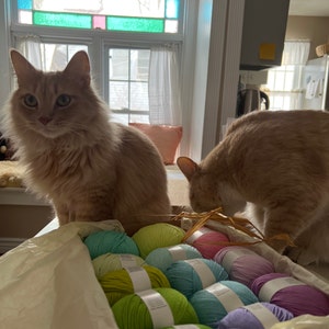 Shawnna added a photo of their purchase