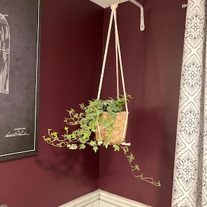 Marian added a photo of their purchase