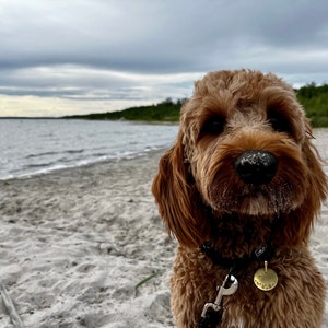 Ulanda さんが購入した商品の写真を追加しました