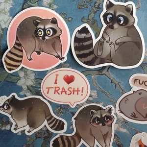 Milleyz I Brake For Forbidden Kitties Raccoon Sticker, Raccoon Stickers,  Animal Lover Stickers, Cute Stickers, Funny Stickers, Water Assistant  Die-Cut