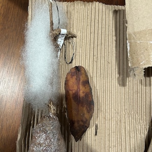 Kelly hat ein Foto des gekauften Artikels hinzugefügt