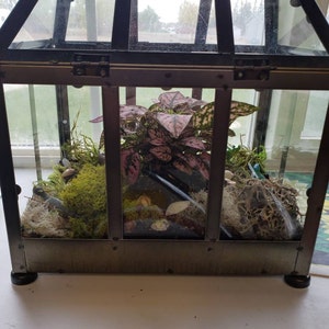 Rachel added a photo of their purchase