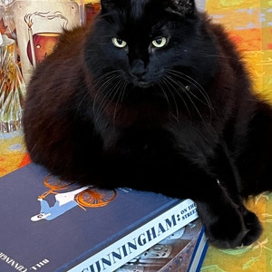 Barbara a ajouté une photo de son achat