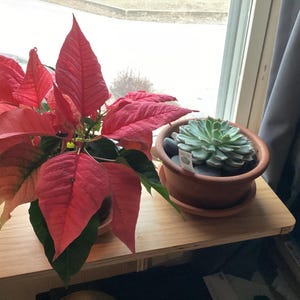 Richard added a photo of their purchase