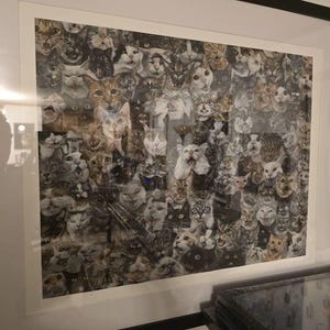 Douglas added a photo of their purchase