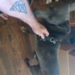 Tyler heeft een foto van de aankoop toegevoegd