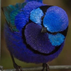 Kupujący z Etsy dodał(a) zdjęcie swoich zakupów