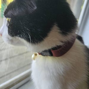Amber hat ein Foto des gekauften Artikels hinzugefügt