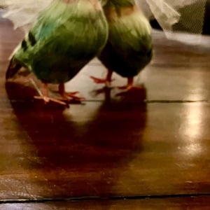 G added a photo of their purchase