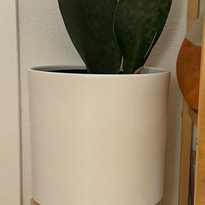 Emily added a photo of their purchase