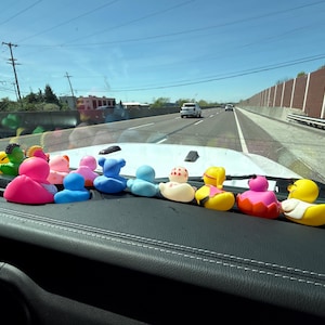Steph added a photo of their purchase