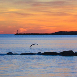 Inactive account added a photo of their purchase