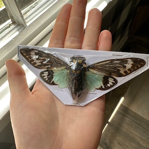 Hannah added a photo of their purchase