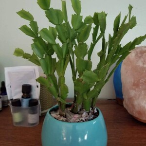 Kristin added a photo of their purchase