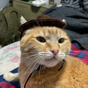 Crystal hat ein Foto des gekauften Artikels hinzugefügt