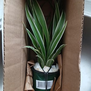 Esperanza added a photo of their purchase