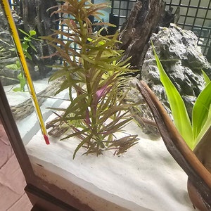 Robert added a photo of their purchase