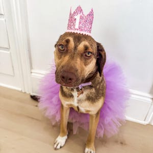 Lavender Birthday Princess Tutu and Crown- Dog Birthday, Gotcha ...