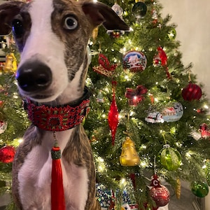 Venuss ha añadido una foto de su compra