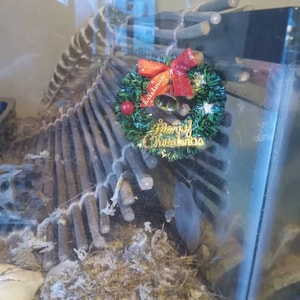 Emily heeft een foto van de aankoop toegevoegd