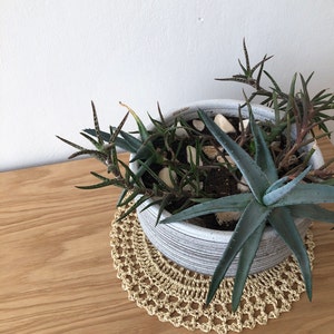 Olga added a photo of their purchase
