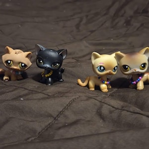 Courtney added a photo of their purchase