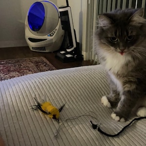 Evan added a photo of their purchase