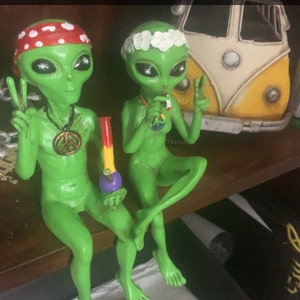 Tom hat ein Foto des gekauften Artikels hinzugefügt