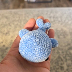 Rachel added a photo of their purchase
